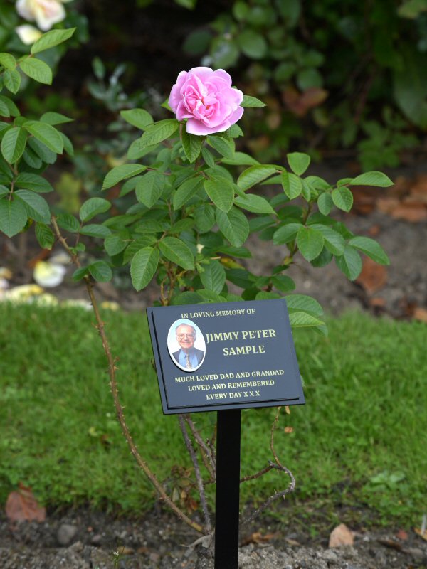 Rose Garden and Marker Plaque Memorial