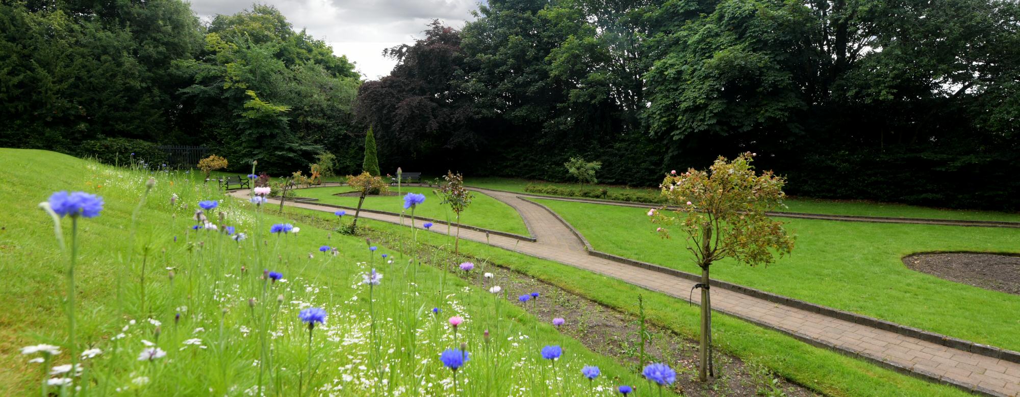 Memoria Paisley Woodside Wild Flower Walk